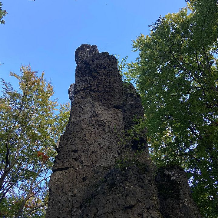 BB/FW Herbstwanderung 2023 - Langenstein