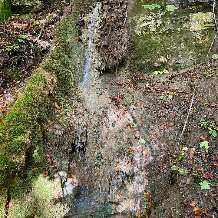 BB/FW Herbstwanderung 2023 - Steinerne Rinne