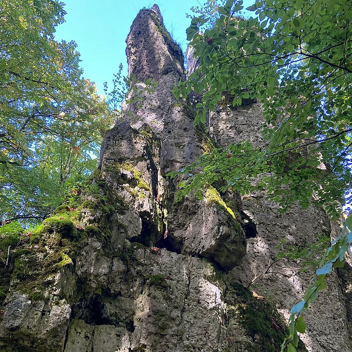 BB/FW Herbstwanderung 2023 - Langenstein